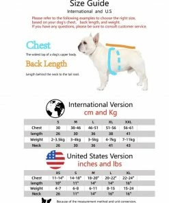 Lola + The Boys Chewy Vuitton Puppy Sweater