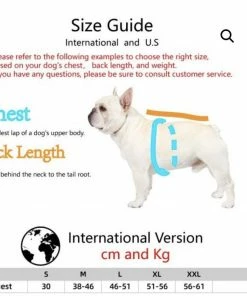 Lola + The Boys Lola + The Pups “Woof “ Puppy Hoodie