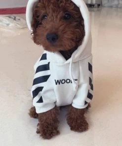 Lola + The Boys Lola + The Pups “Woof “ Puppy Hoodie