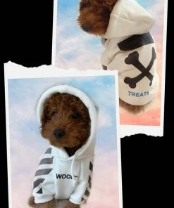 Lola + The Boys Lola + The Pups “Woof “ Puppy Hoodie