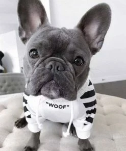 Lola + The Boys Lola + The Pups “Woof “ Puppy Hoodie