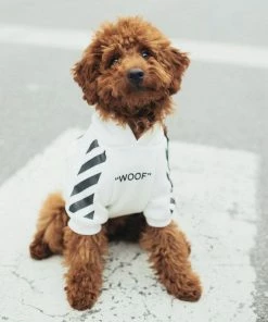 Lola + The Boys Lola + The Pups “Woof “ Puppy Hoodie