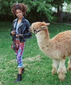 Lola + The Boys Infinity Stone Gem Vegan Jacket