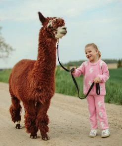 Lola + The Boys New Arrivals Fuzzy Flash Set